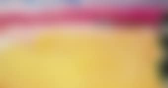 Black-Eyed Susan (preview)