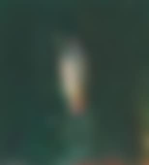 Horse's Head (preview)