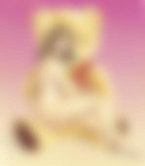 Teddy Bare (preview)
