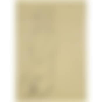 Sitzender Weiblicher Akt (Seated Female Nude) (preview)