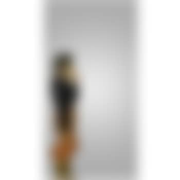 Visitatrice Con Catalogo (preview)