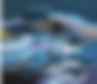 Barracudas (preview)