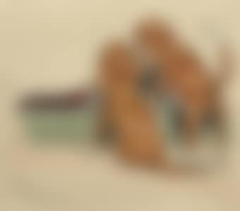 Unwelcomed (preview)