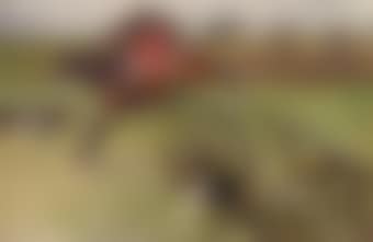 The Master of the Hunt, Edward Preston Rawnsley, clearing a fence (preview)