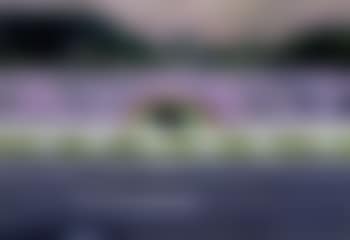 Country rock (preview)