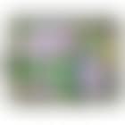Bugle Boy Head (preview)