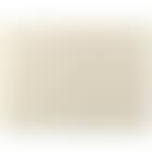 Study For Bottrop (preview)