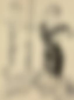 Self Image (preview)