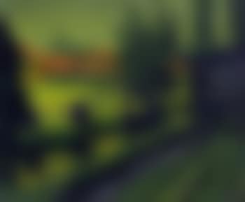Vor dem Dorfe (preview)