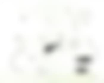Ohne Titel (preview)