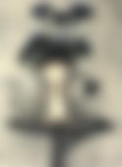 Fleurs dans un vase (preview)