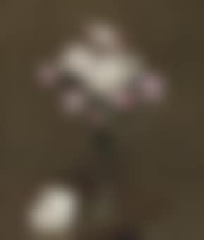 Roses blanches et roses dans une flûte à champagne (preview)