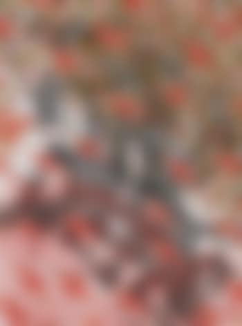 Untitled #2 (preview)