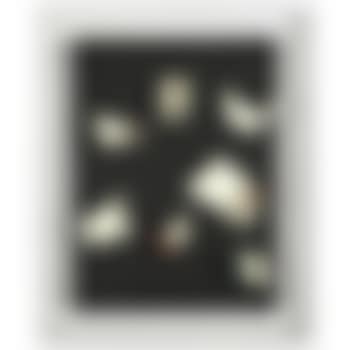 Relief Accentué (preview)