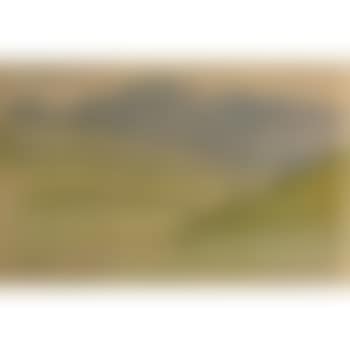 Landscape (preview)