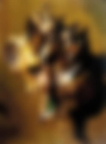 Nature morte: gamebirds (preview)