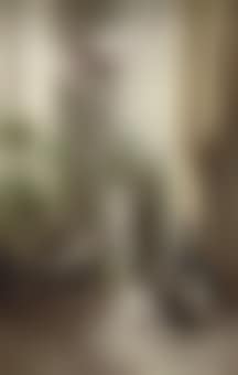 Cats and the cockatoo (preview)
