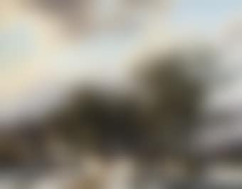 Villagers on a wooded track near a snow-covered village (preview)