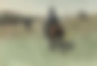 Military manoeuvres: rode huzaren (preview)
