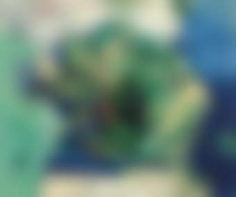 Palm Arbour (preview)