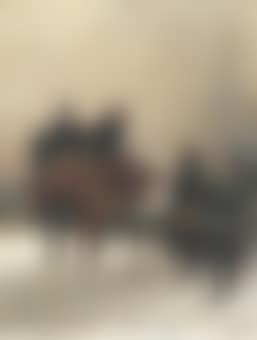 The Salute (preview)