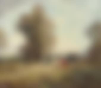 Picnicking in the park (preview)