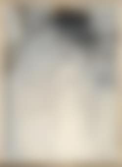 Project for Extraterrestrials No. 9 Fetus movement II (preview)