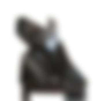 Single Whip (preview)