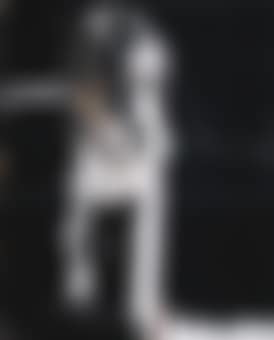Personaje (preview)
