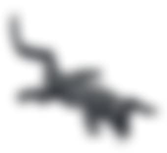 Alligator (preview)