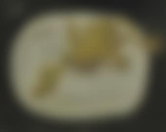 Dode eend (preview)