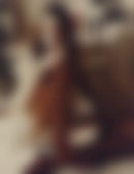 Untitled (preview)