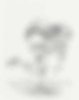 Lucky number 13 (preview)
