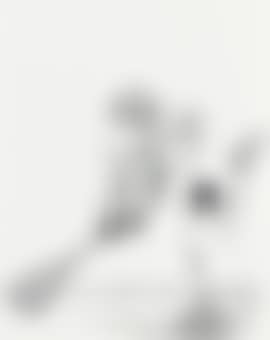 Balletic lacrosse (preview)