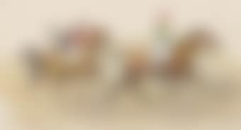 A trotting race. Racing initialed a light-weight flys (preview)