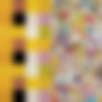 Acupuncture/Flowers (Checkers) (preview)