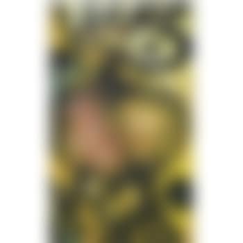 Le Minautore (The Minotaur) (preview)