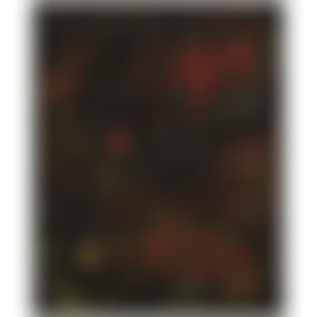 Untitled (preview)