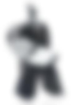 Accordian Player (preview)