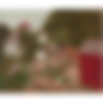 The Farm (preview)