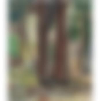 Yosemite Trees (preview)