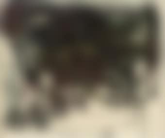 No 2 (preview)