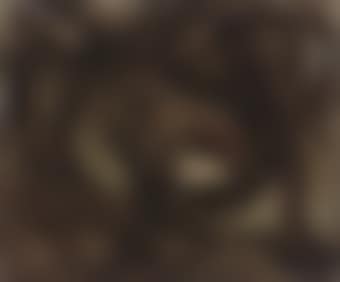 Brown Forms (preview)