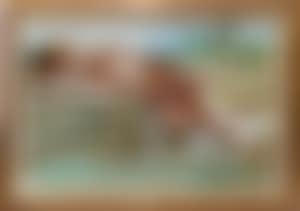 Nude female reclining (preview)