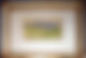 Landscape (preview)