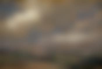 Florence (preview)