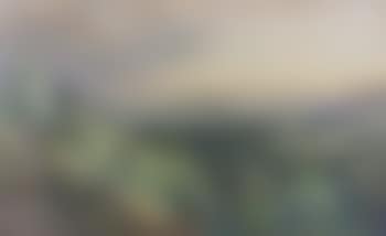 On the Lochside, near Luss, Loch Lomond (preview)