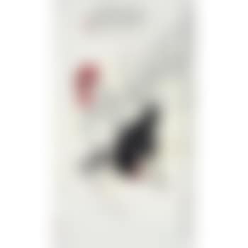 Roosters (preview)