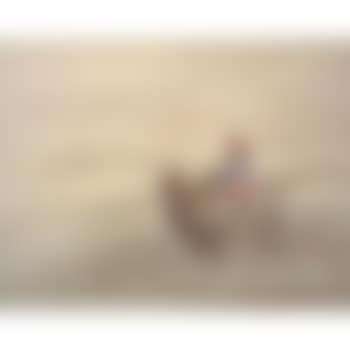 Camel Ride (preview)