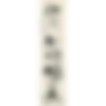 Calligraphy Couplet In Caoshu (preview)